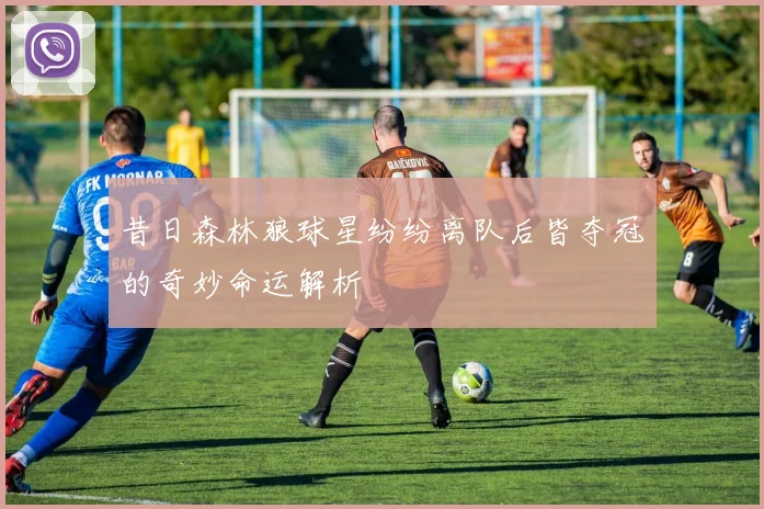 昔日森林狼球星纷纷离队后皆夺冠的奇妙命运解析